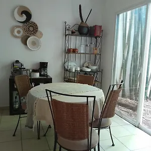 Casa Mariposas Cancún