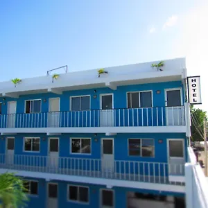 Blue Coconut Cancún